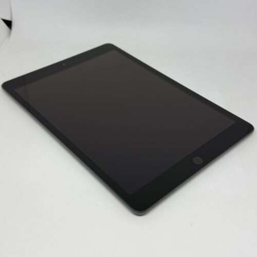 iPad 9e 64GB grijs /krasvrij /83% batt /garantie