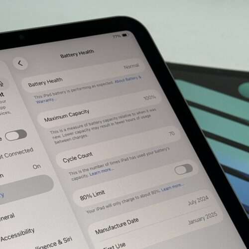 iPad mini 7e 256GB grijs /krasvrij glas /100% batt /garantie
