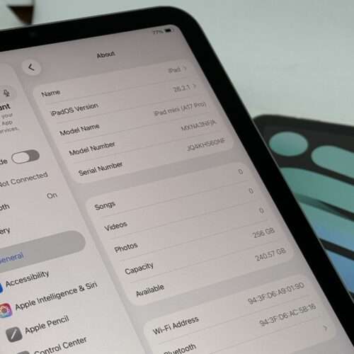 iPad mini 7e 256GB grijs /krasvrij glas /100% batt /garantie