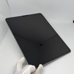 iPad Pro 12,9 M2 256GB grijs /krasvrij /91% batt /garantie