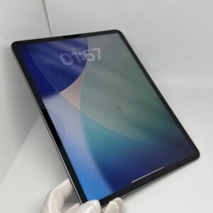iPad Pro 12,9 M2 256GB grijs /krasvrij /91% batt /garantie