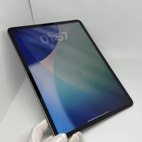 iPad Pro 12,9 M2 256GB grijs /krasvrij /91% batt /garantie