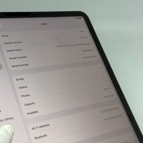 iPad Pro 12,9 M2 256GB grijs /krasvrij /91% batt /garantie