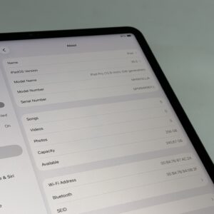 iPad Pro 12,9 M1 256GB grijs /zeer net /90% batt /garantie