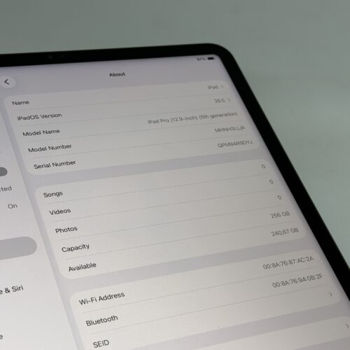 iPad Pro 12,9 M1 256GB grijs /zeer net /90% batt /garantie