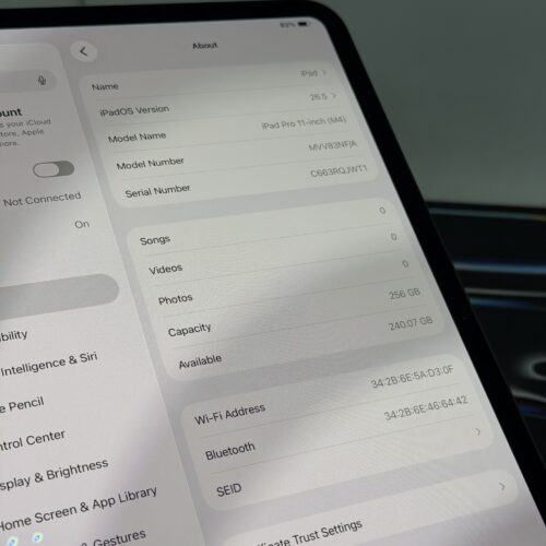 iPad Pro 11 inch M4 256GB grijs /krasvrij /100% batt /BTW