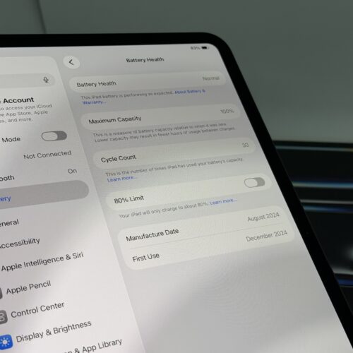 iPad Pro 11 inch M4 256GB grijs /krasvrij /100% batt /BTW