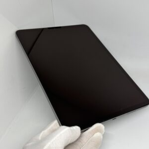 iPad Pro 11 inch M2 5G 256GB grijs /krasvrij scherm /100% batt /garantie