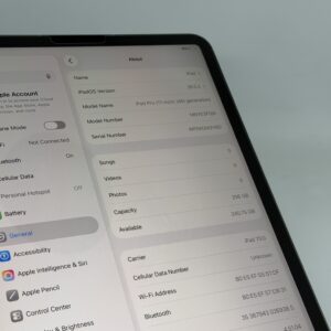 iPad Pro 11 inch M2 5G 256GB grijs /krasvrij scherm /100% batt /garantie