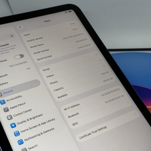 iPad 10e 256GB blauw /krasvrij /100% batt /garantie